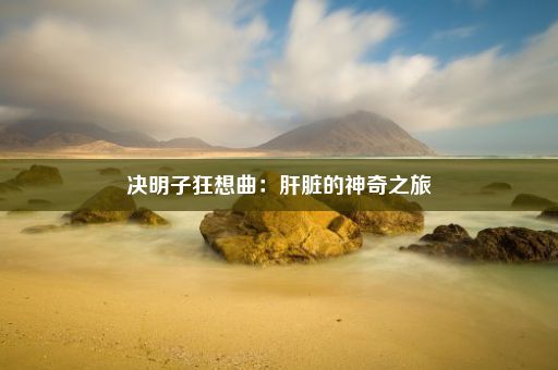 决明子狂想曲：肝脏的神奇之旅