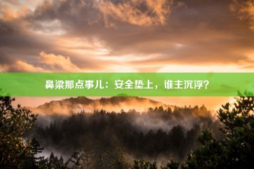 鼻梁那点事儿：安全垫上，谁主沉浮？