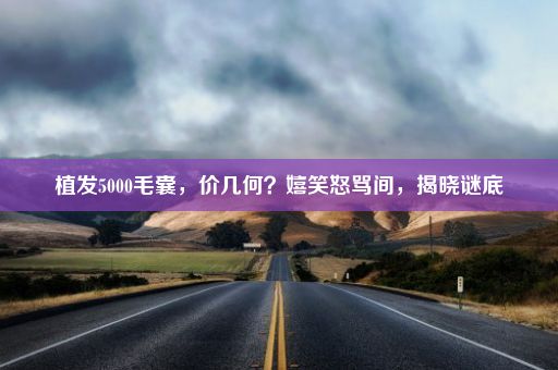 植发5000毛囊，价几何？嬉笑怒骂间，揭晓谜底