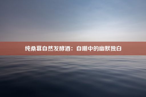 纯桑葚自然发酵酒：自嘲中的幽默独白