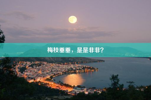 梅枝垂垂，是是非非？