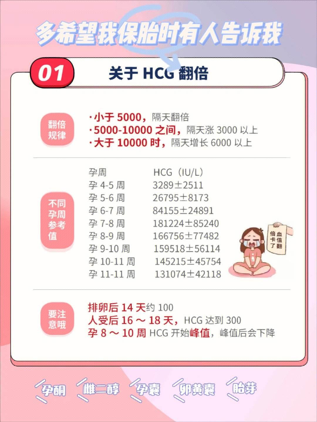 HCG早期爬行慢，孕途尚漫漫——笑谈‘种子的蜗牛赛跑’