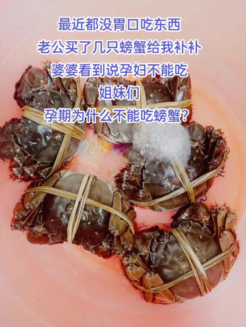 怀孕“食”界大冒险：螃蟹，约不约？