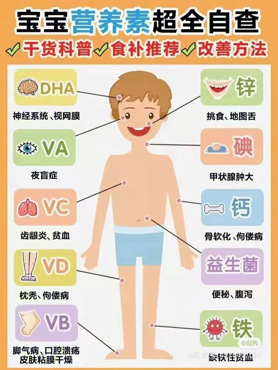 一岁宝宝，营养过剩的‘甜蜜负担’