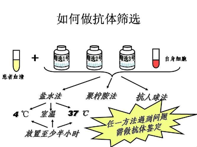 “筛抗体，笑看江湖术”：不规则抗体筛查的奇妙旅