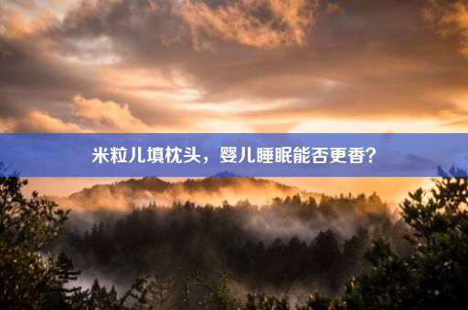 米粒儿填枕头，婴儿睡眠能否更香？