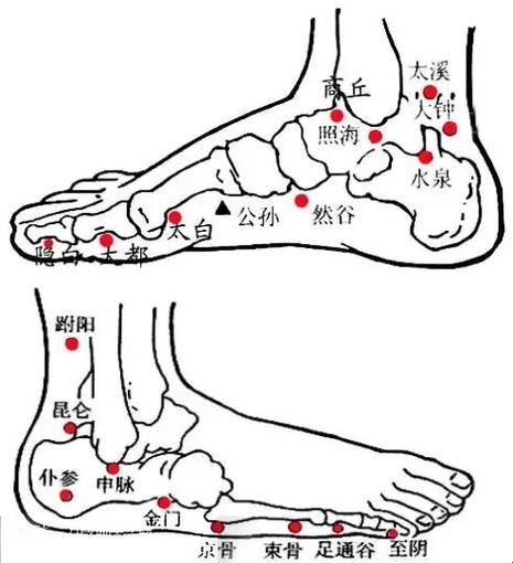脚脖子经络图解大图：笑谈痛痒间的奥秘