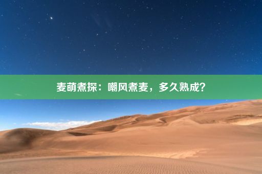 麦萌煮探：嘲风煮麦，多久熟成？