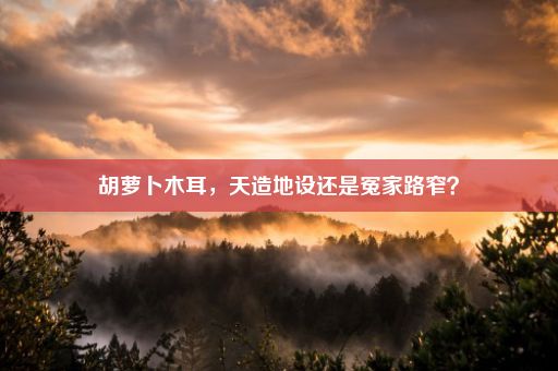 胡萝卜木耳，天造地设还是冤家路窄？