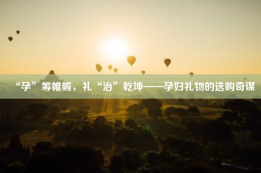 “孕”筹帷幄，礼“治”乾坤——孕妇礼物的选购奇谋