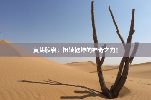 黄芪胶囊：扭转乾坤的神奇之力！