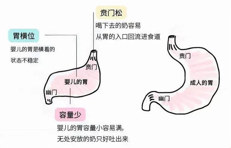 宝宝吐奶频繁，难道是世界的错？