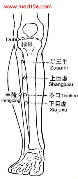 “足阳胃经走势动图”传奇：笑谈经络那些事儿