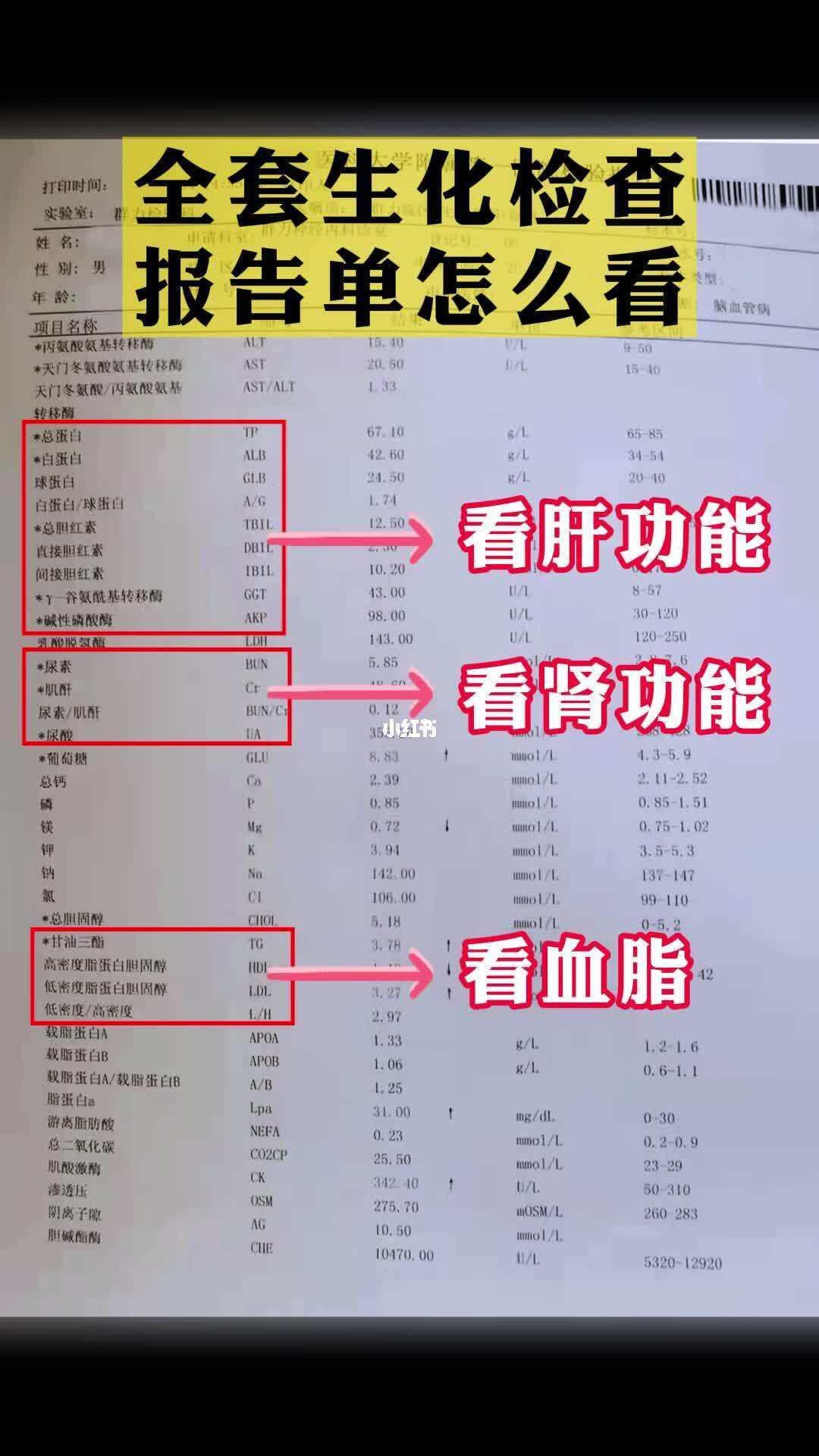 “生化危机”还是“生化奇遇”？探秘身体的神秘变化！