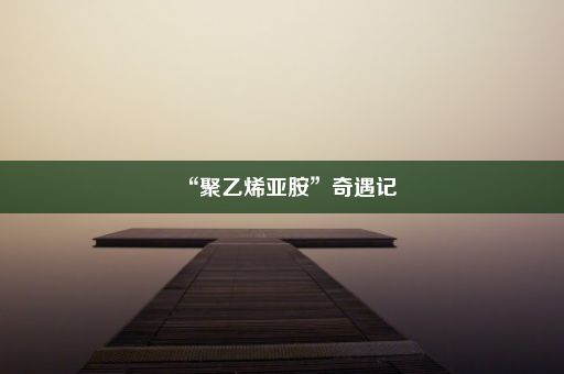 “聚乙烯亚胺”奇遇记