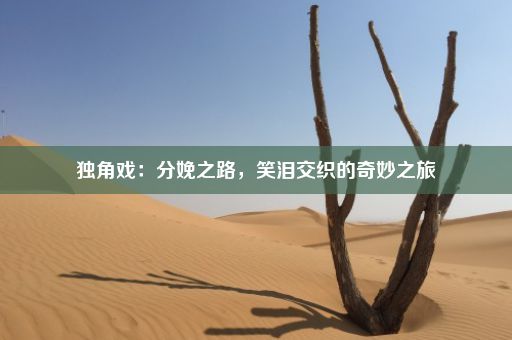 独角戏：分娩之路，笑泪交织的奇妙之旅