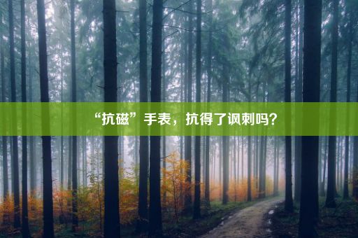 “抗磁”手表，抗得了讽刺吗？