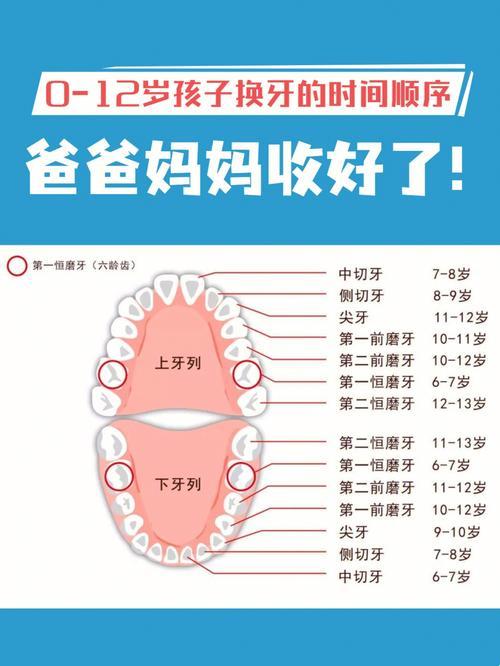 换牙不慌，笑看孩童成长