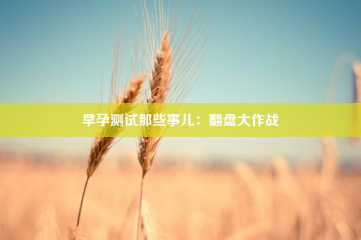 早孕测试那些事儿：翻盘大作战