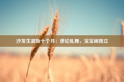 沙发生涯始十个月：谬论乱舞，宝宝闹独立