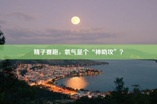 精子赛跑，氧气是个“神助攻”？