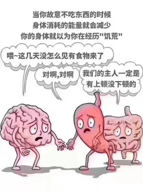 饥饿游戏：脂肪消耗的奥秘时刻