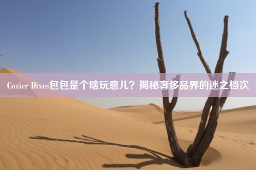 Cozier Dixes包包是个啥玩意儿？揭秘奢侈品界的迷之档次