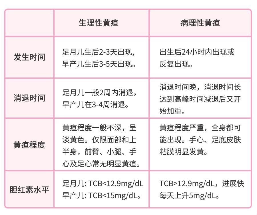 黄道十二时辰：新生儿的不凡首秀