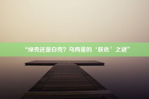 “绿壳还是白壳？乌鸡蛋的‘肤色’之谜”