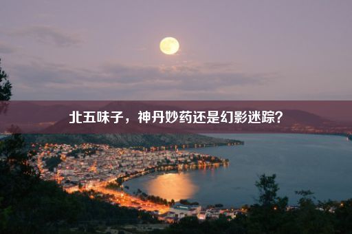 北五味子，神丹妙药还是幻影迷踪？