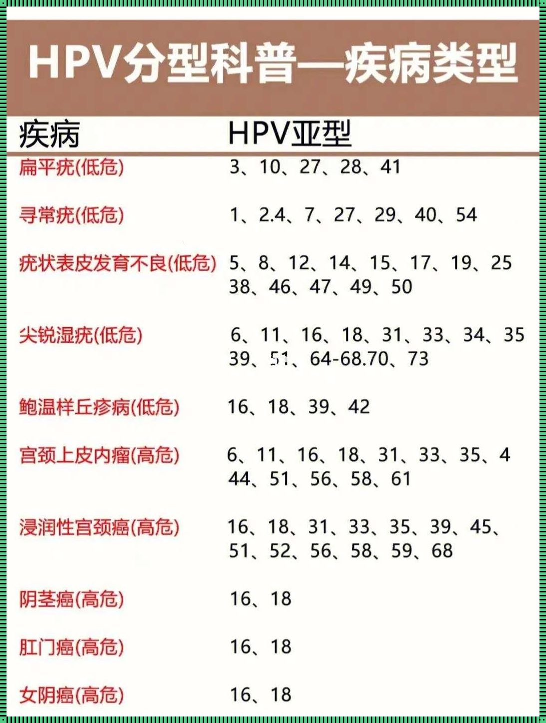 HPV活检，揭秘那几个令人头大的等级