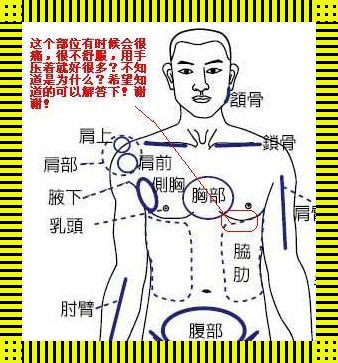 《左肋下方疼痛，揭秘你的“内脏秘语”》