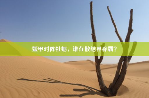 鳖甲对阵牡蛎，谁在散结界称霸？