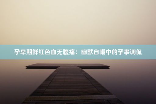 孕早期鲜红色血无腹痛：幽默自嘲中的孕事调侃