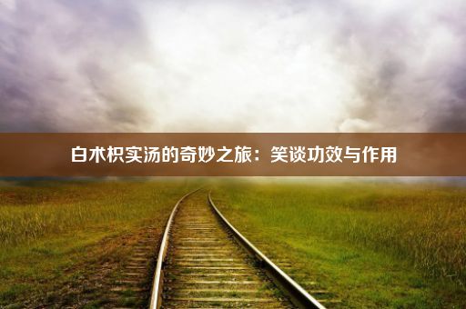 白术枳实汤的奇妙之旅：笑谈功效与作用