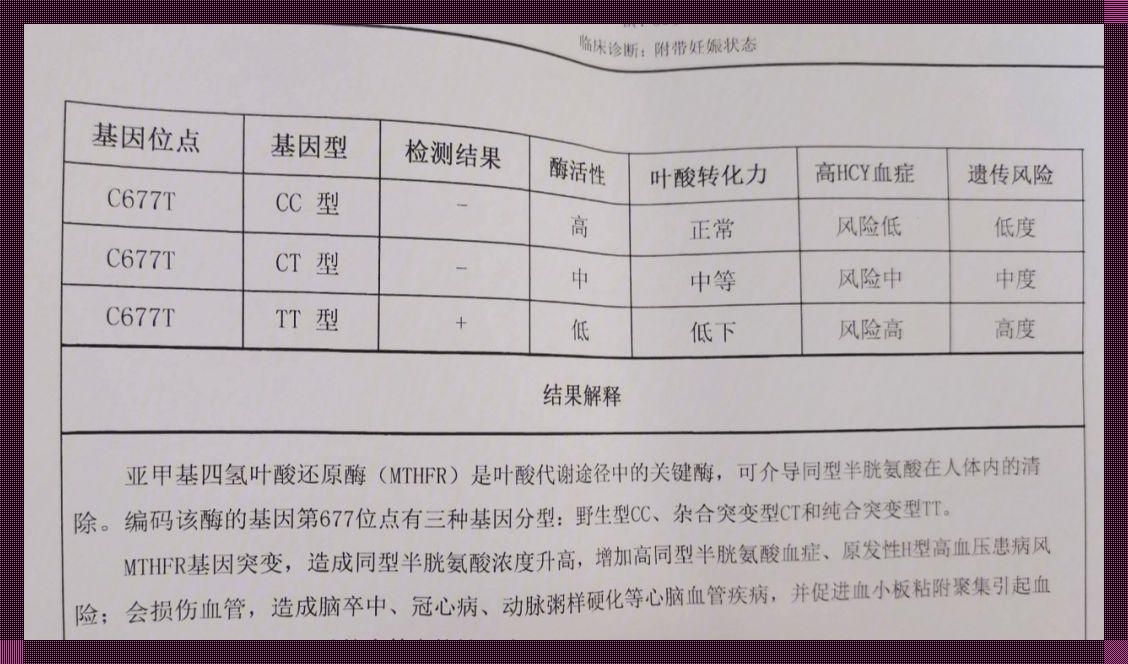 “叶酸TT型，好宝宝的前奏？笑谈！”