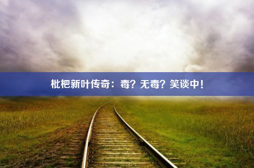 枇杷新叶传奇：毒？无毒？笑谈中！