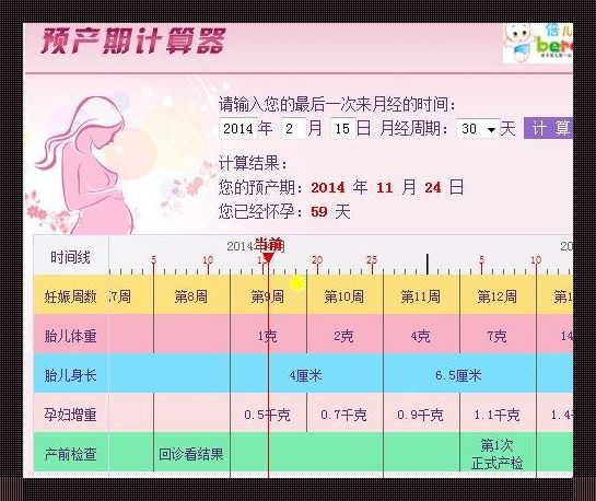 孕产界的小奥秘：算你肚子里的“小邻居”啥时候来敲门