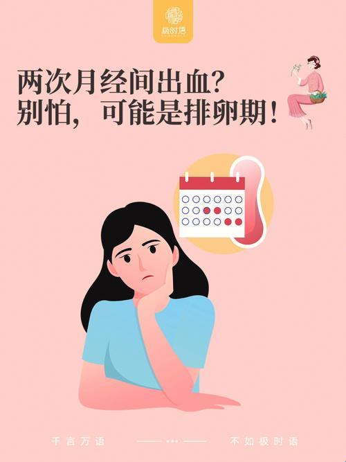 月经按时报到，卵子却玩失踪？揭秘“月经正常但不排卵”的谜团