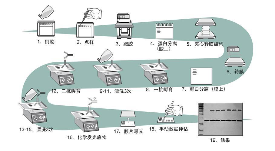 tbst，毒不毒？幽你一默！