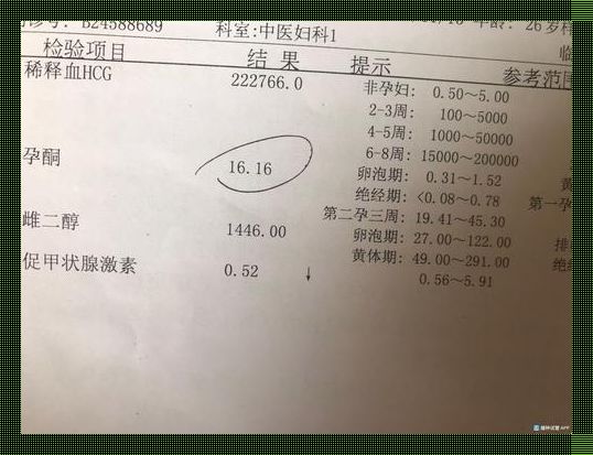 “HCG化验单？天书还是攻略，带你揭秘其中的奥秘！”