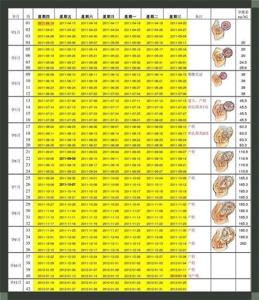 胎儿发育指数的计算公式：幽默探秘