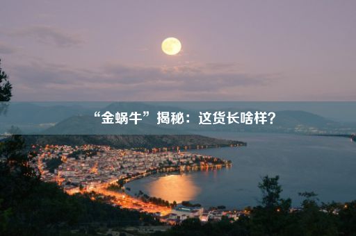 “金蜗牛”揭秘：这货长啥样？