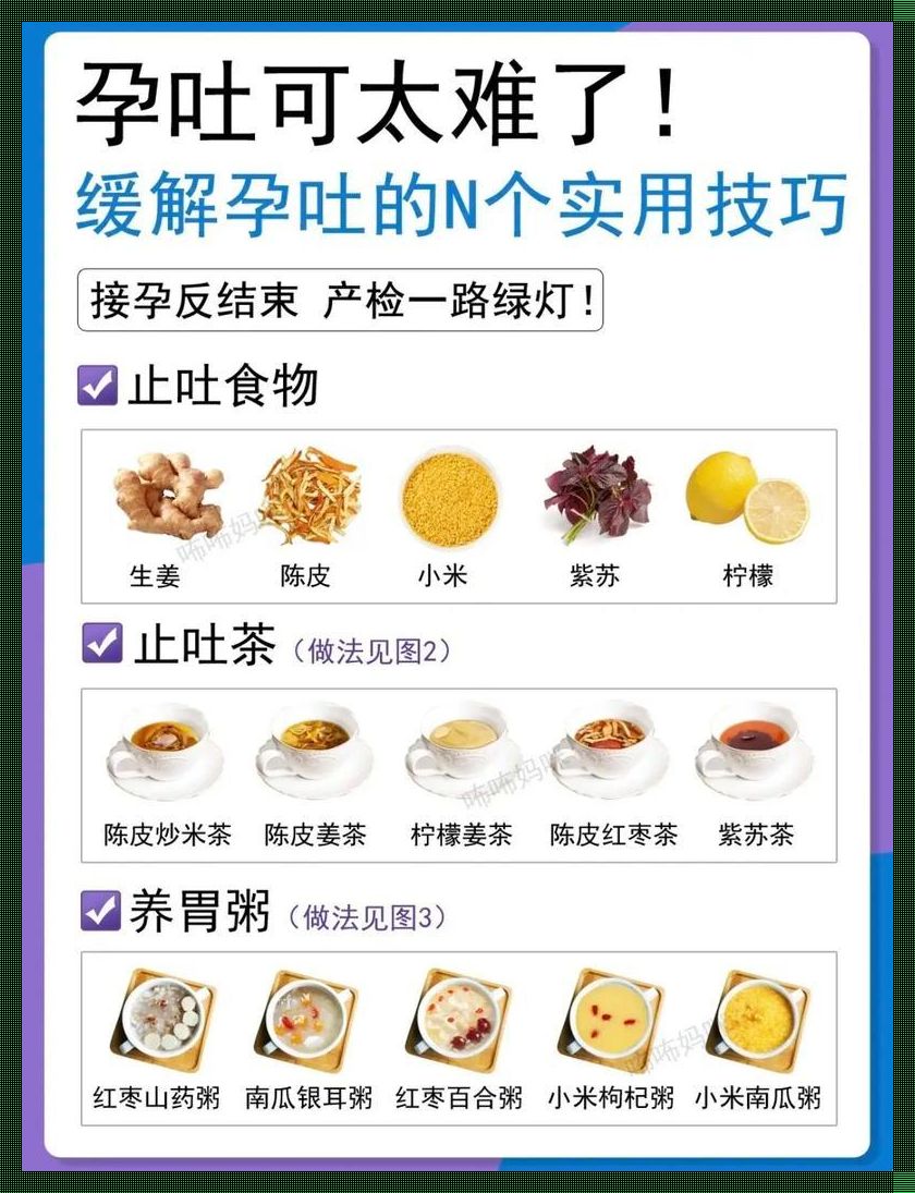 孕吐狂潮来袭，食界奇缘助力缓解