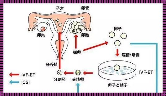 “一胎”能“单飞”吗？