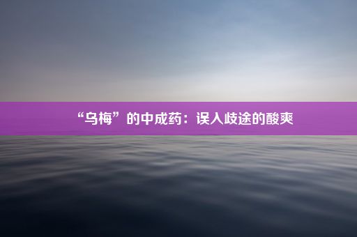 “乌梅”的中成药：误入歧途的酸爽