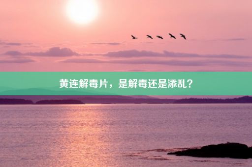 黄连解毒片，是解毒还是添乱？