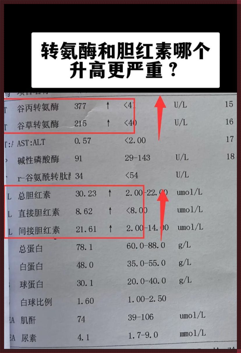 转氨酶狂想曲：当肝功能指标跳起摇摆舞