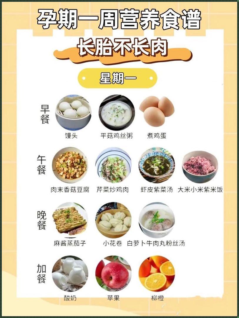 “孕”筹帷幄，饮食界的“新手妈妈”攻略！