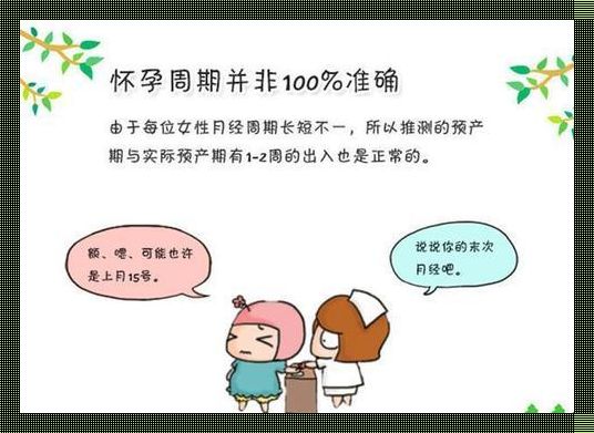 怀孕18周，竟有人说是几个月？